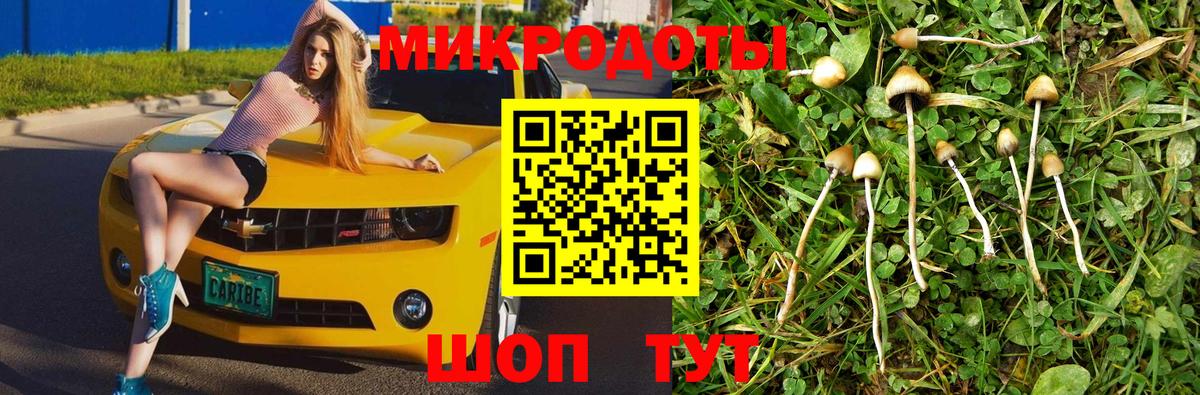 Псилоцибиновые грибы ЛСД  Вход с VPN  Йошкар-Ола 